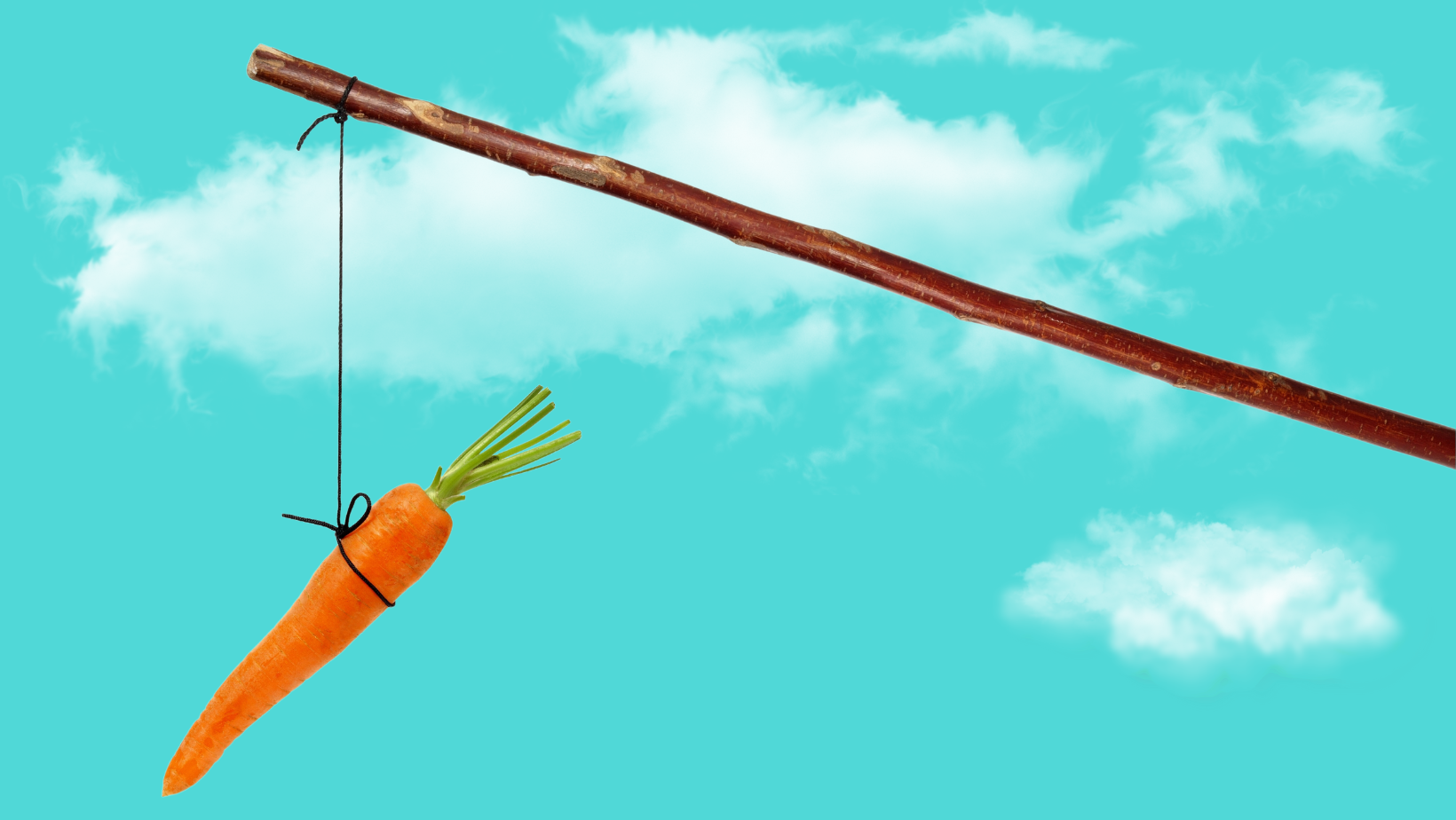 FUELING YOUR TEAM visual data 8